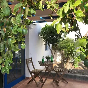 apartamento-delia-castillo-a-100-metros-de-la-playa.in-canary-islands.com/